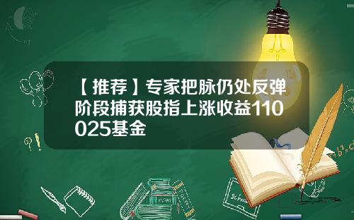 【推荐】专家把脉仍处反弹阶段捕获股指上涨收益110025基金