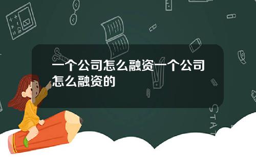 一个公司怎么融资一个公司怎么融资的