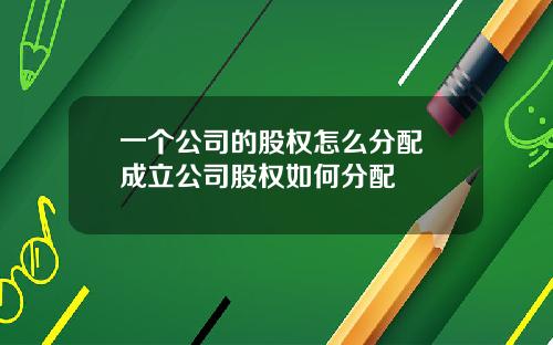 一个公司的股权怎么分配 成立公司股权如何分配