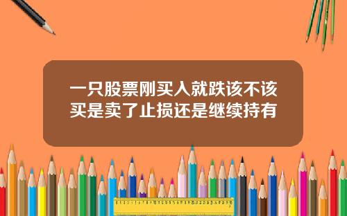 一只股票刚买入就跌该不该买是卖了止损还是继续持有