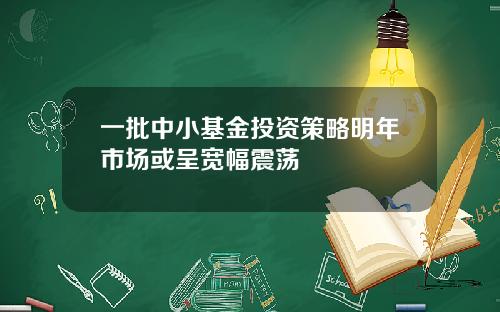 一批中小基金投资策略明年市场或呈宽幅震荡