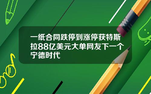 一纸合同跌停到涨停获特斯拉88亿美元大单网友下一个宁德时代