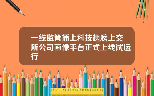 一线监管插上科技翅膀上交所公司画像平台正式上线试运行