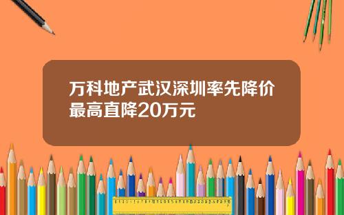 万科地产武汉深圳率先降价最高直降20万元