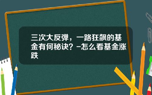 三次大反弹，一路狂飙的基金有何秘诀？-怎么看基金涨跌