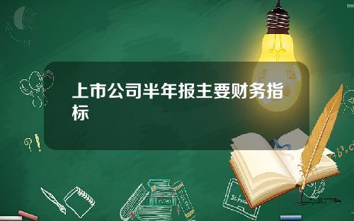 上市公司半年报主要财务指标