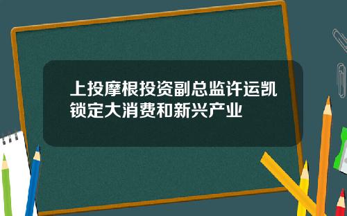 上投摩根投资副总监许运凯锁定大消费和新兴产业