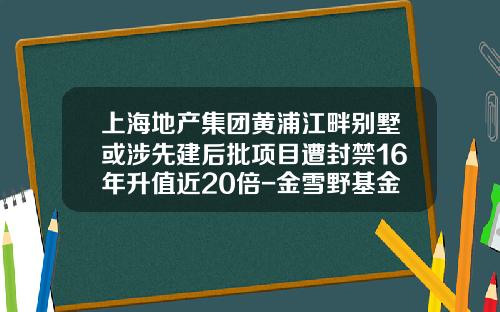 上海地产集团黄浦江畔别墅或涉先建后批项目遭封禁16年升值近20倍-金雪野基金