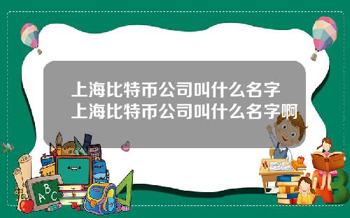 上海比特币公司叫什么名字上海比特币公司叫什么名字啊