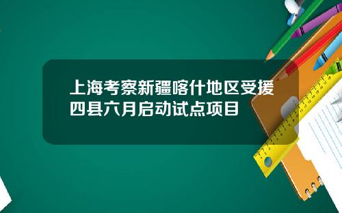 上海考察新疆喀什地区受援四县六月启动试点项目