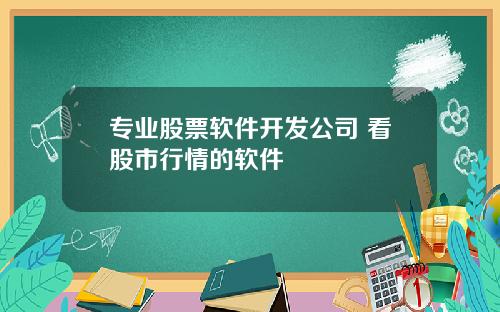 专业股票软件开发公司 看股市行情的软件