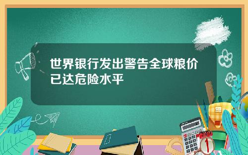 世界银行发出警告全球粮价已达危险水平