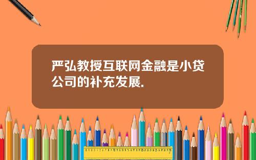 严弘教授互联网金融是小贷公司的补充发展.