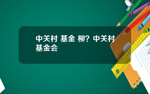 中关村 基金 柳？中关村基金会