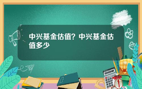 中兴基金估值？中兴基金估值多少