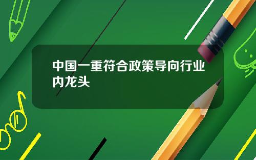 中国一重符合政策导向行业内龙头