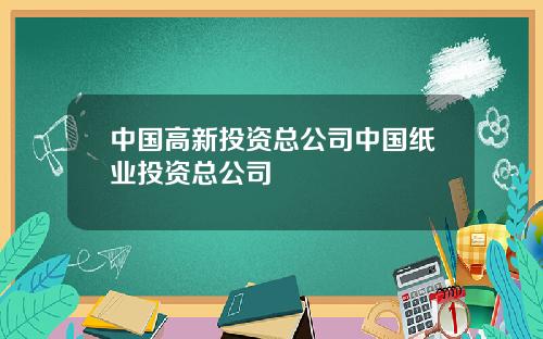 中国高新投资总公司中国纸业投资总公司