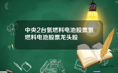 中央2台氢燃料电池股票氢燃料电池股票龙头股