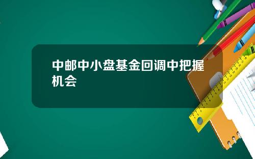 中邮中小盘基金回调中把握机会