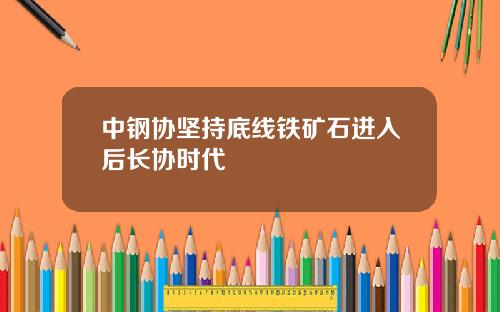 中钢协坚持底线铁矿石进入后长协时代