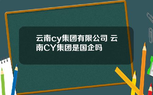 云南cy集团有限公司 云南CY集团是国企吗