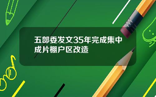 五部委发文35年完成集中成片棚户区改造