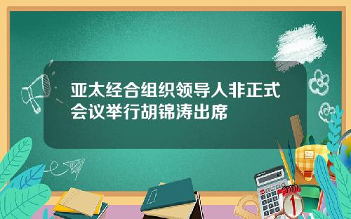 亚太经合组织领导人非正式会议举行胡锦涛出席