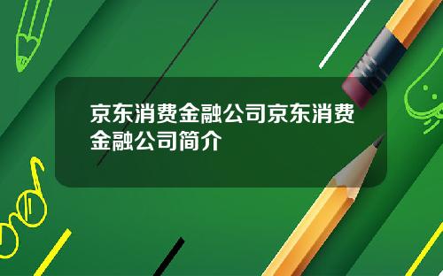 京东消费金融公司京东消费金融公司简介