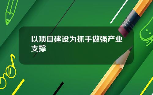 以项目建设为抓手做强产业支撑