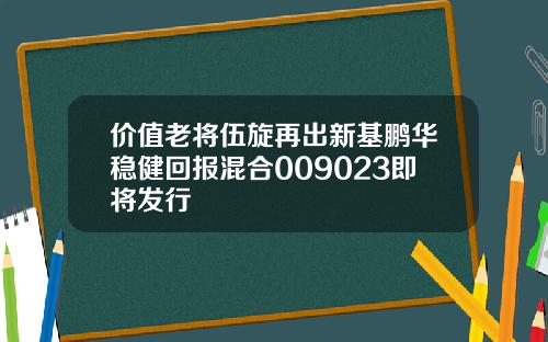 价值老将伍旋再出新基鹏华稳健回报混合009023即将发行