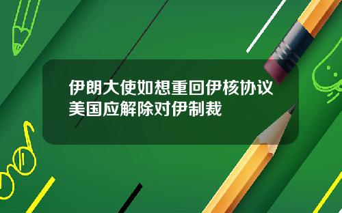 伊朗大使如想重回伊核协议美国应解除对伊制裁