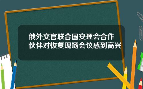 俄外交官联合国安理会合作伙伴对恢复现场会议感到高兴