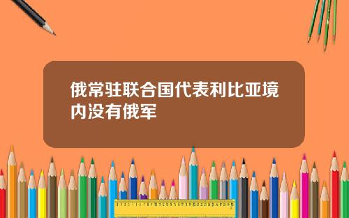 俄常驻联合国代表利比亚境内没有俄军