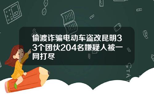 偷渡诈骗电动车盗改昆明33个团伙204名嫌疑人被一网打尽