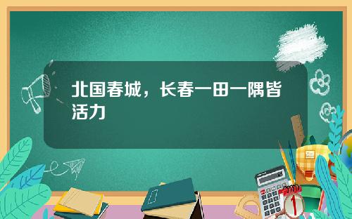 北国春城，长春一田一隅皆活力