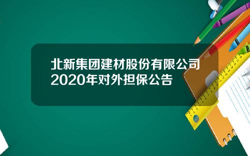 北新集团建材股份有限公司2020年对外担保公告