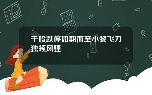 千股跌停如期而至小黎飞刀独领风骚