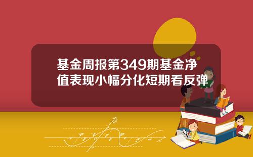 基金周报第349期基金净值表现小幅分化短期看反弹