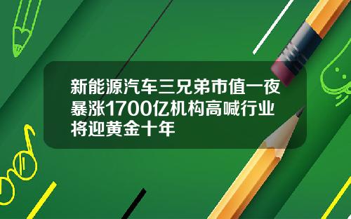 新能源汽车三兄弟市值一夜暴涨1700亿机构高喊行业将迎黄金十年