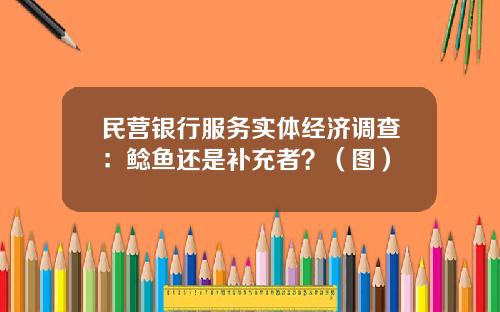 民营银行服务实体经济调查：鲶鱼还是补充者？（图）