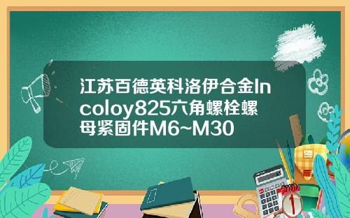 江苏百德英科洛伊合金Incoloy825六角螺栓螺母紧固件M6~M30