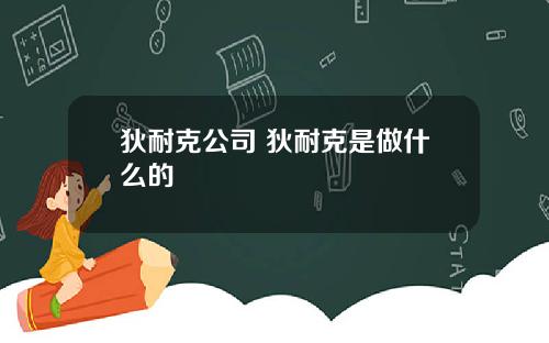 狄耐克公司 狄耐克是做什么的