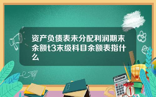 资产负债表未分配利润期末余额t3末级科目余额表指什么