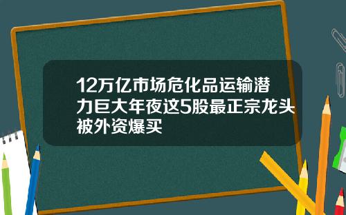 12万亿市场危化品运输潜力巨大年夜这5股最正宗龙头被外资爆买