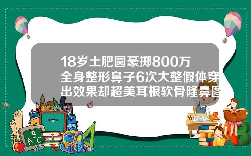 18岁土肥圆豪掷800万全身整形鼻子6次大整假体穿出效果却超美耳根软骨隆鼻图片