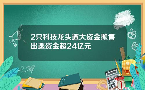 2只科技龙头遭大资金抛售出逃资金超24亿元