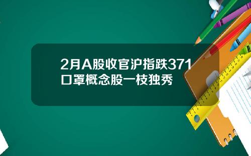 2月A股收官沪指跌371口罩概念股一枝独秀