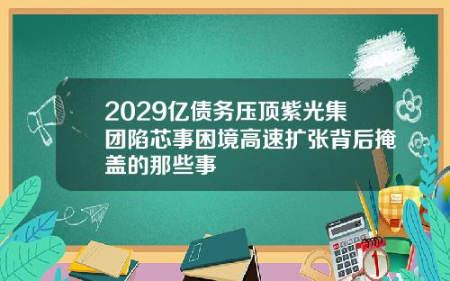 2029亿债务压顶紫光集团陷芯事困境高速扩张背后掩盖的那些事