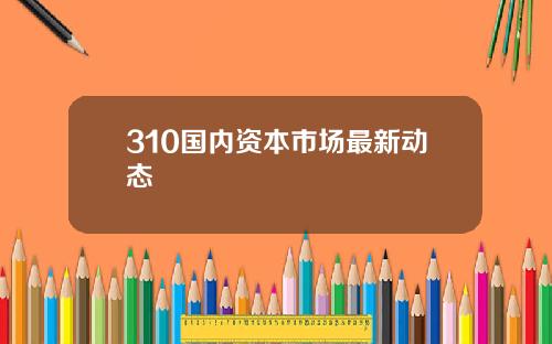 310国内资本市场最新动态