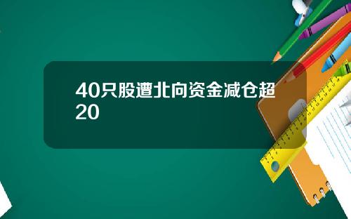 40只股遭北向资金减仓超20